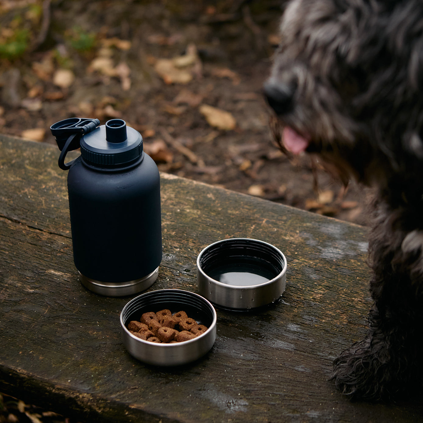 Haps Nordic 2-in-1 GO Bottle