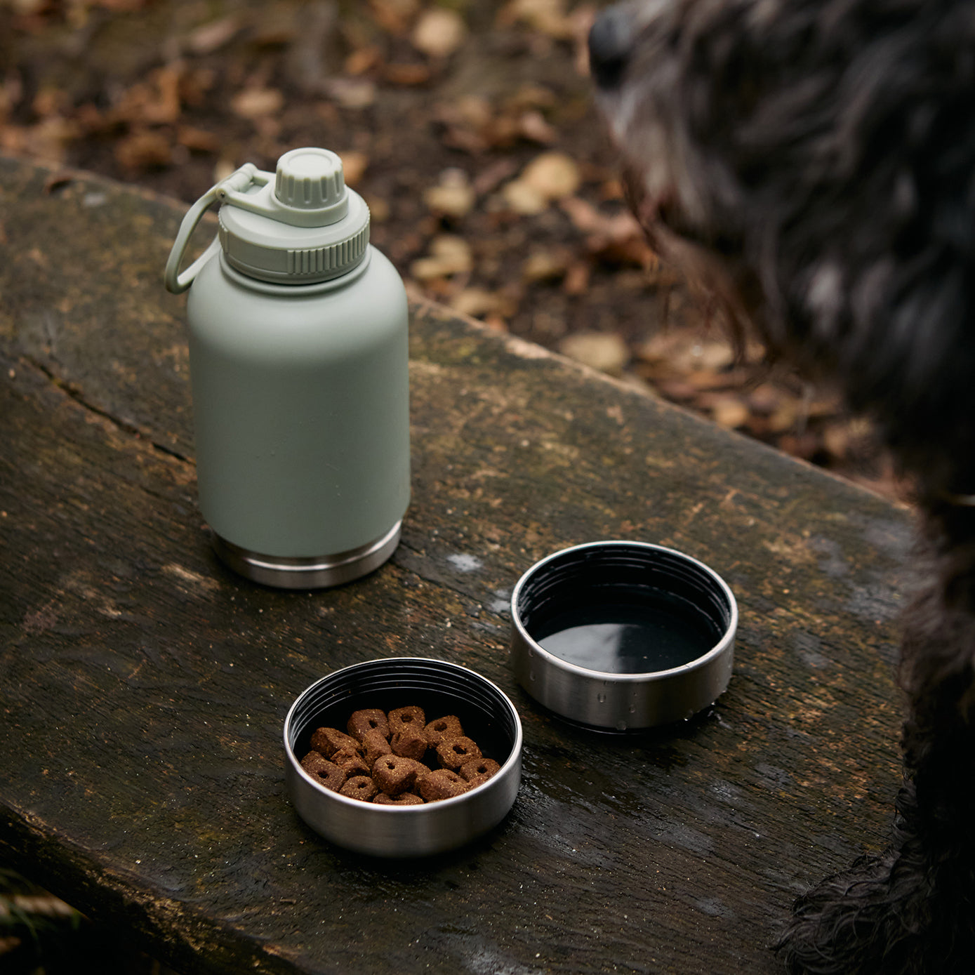 Haps Nordic 2-in-1 GO Bottle